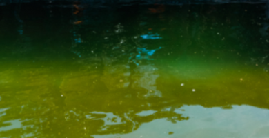 agua verde piscina desmontable